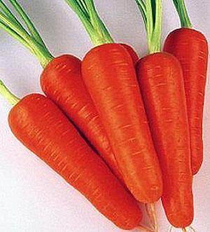 Морковь тушон описание сорта